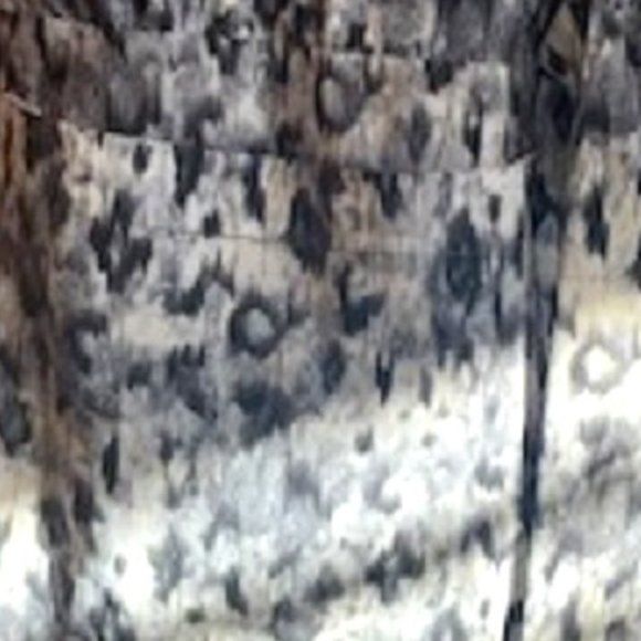 LOGO Lori Goldstein Instant Chic Dress Leopard Animal Print Sz: L - Picture 6 of 7